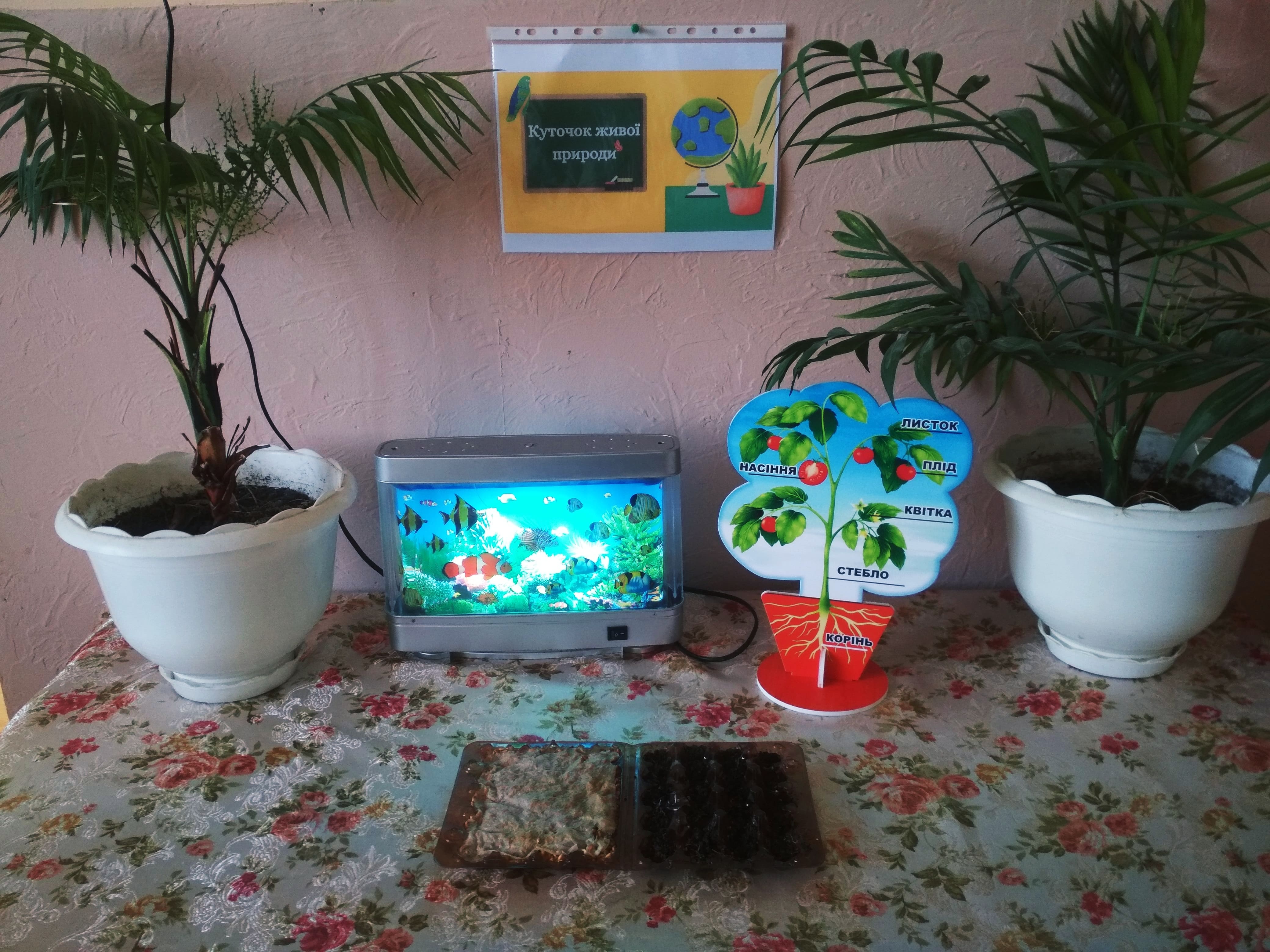 IMG 20230316 115910